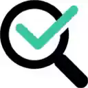 Audit Your Store  screen for extension Chrome web store in OffiDocs Chromium