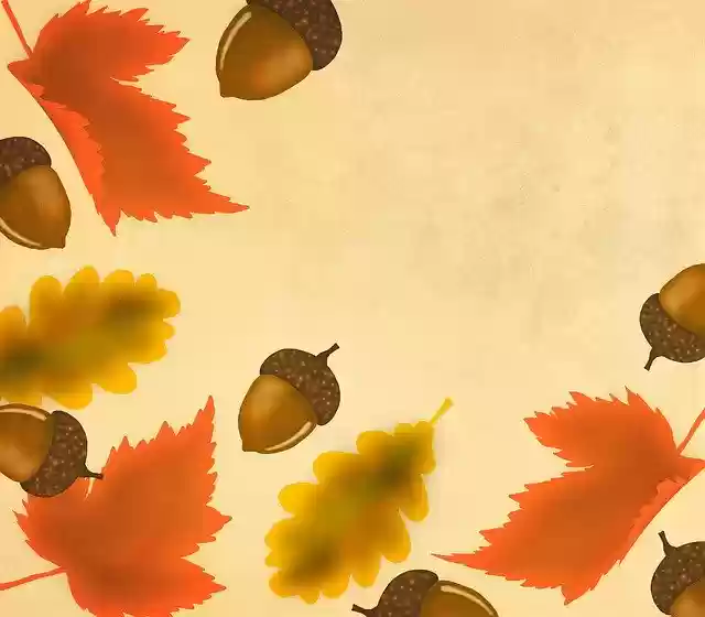 Free download Autumn Acorns Tree -  free illustration to be edited with GIMP free online image editor