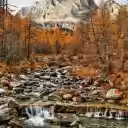 Autumnal Serenity  screen for extension Chrome web store in OffiDocs Chromium
