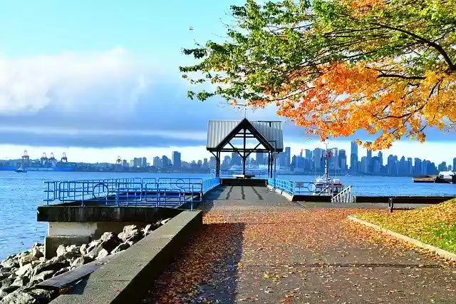 Free download Autumn Color Leaf -  free free photo or picture to be edited with GIMP online image editor