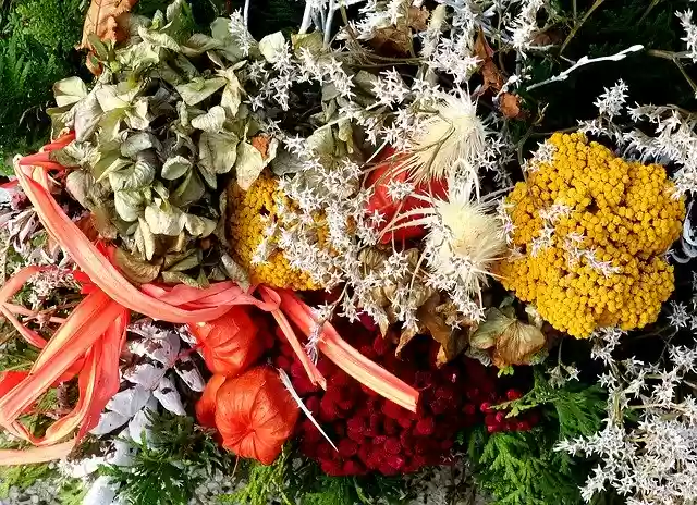 Free download Autumn Colors Dry Flowers -  free photo or picture to be edited with GIMP online image editor