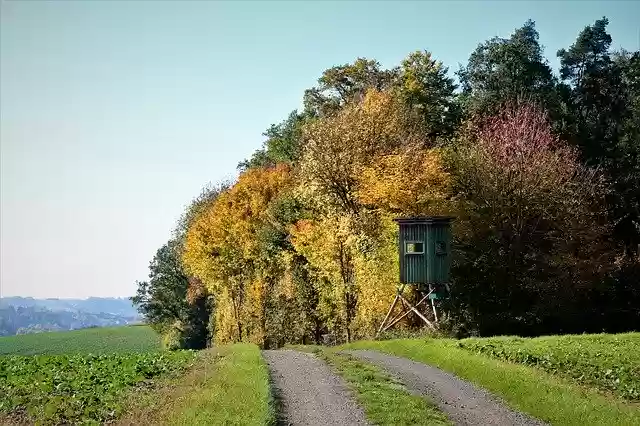 הורדה חינם Autumn Colors Colorful - תמונה או תמונה בחינם לעריכה עם עורך התמונות המקוון GIMP