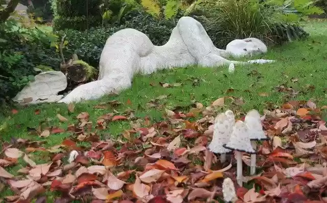 Free download Autumn Figure Sleeping -  free photo or picture to be edited with GIMP online image editor
