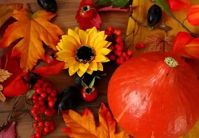 Free download Autumn Foliage Oct -  free photo or picture to be edited with GIMP online image editor