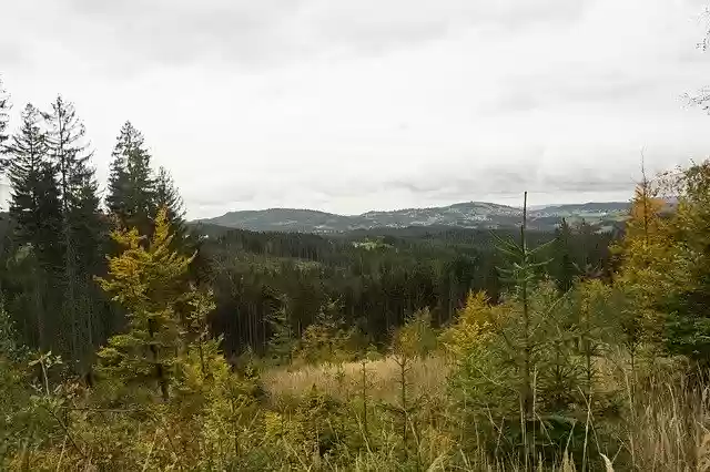 Free download Autumn Forest Mountains -  free photo or picture to be edited with GIMP online image editor