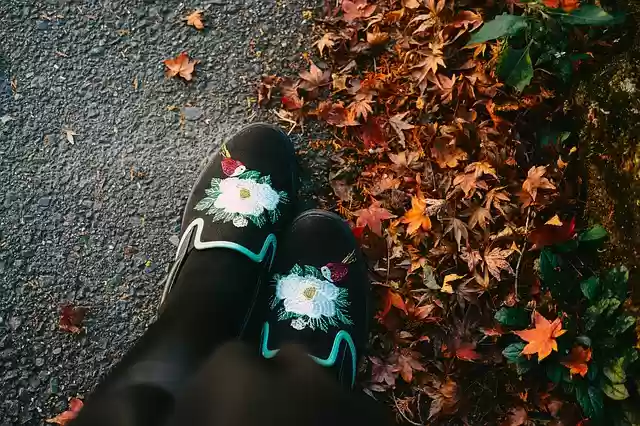 Free download autumn ground shoes leg foliage free picture to be edited with GIMP free online image editor