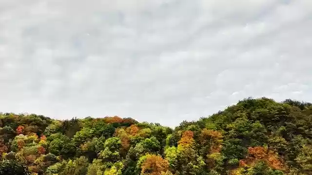 Free download Autumn Hill Horizon -  free photo or picture to be edited with GIMP online image editor