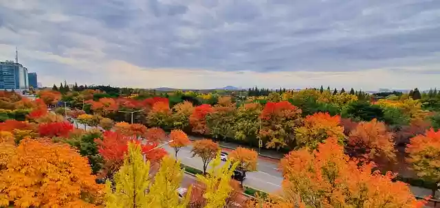Free download autumn il san republic of korea free picture to be edited with GIMP free online image editor