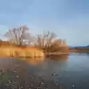 Autumn lake with yellow leaves  screen for extension Chrome web store in OffiDocs Chromium