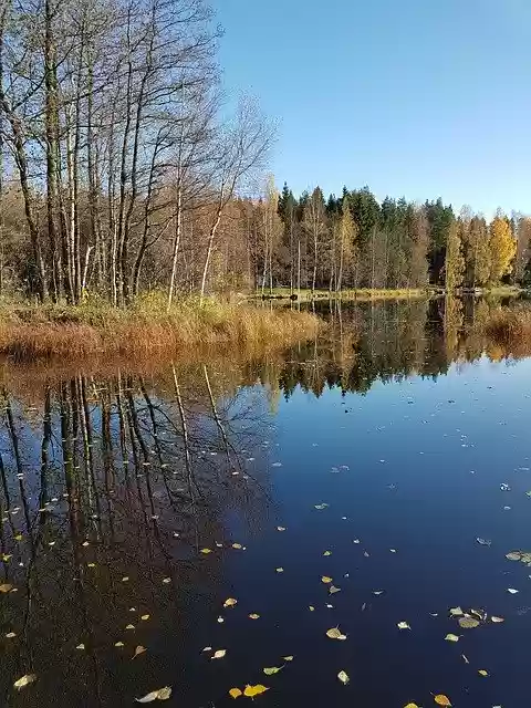 Free download Autumn Lake Wood -  free photo or picture to be edited with GIMP online image editor