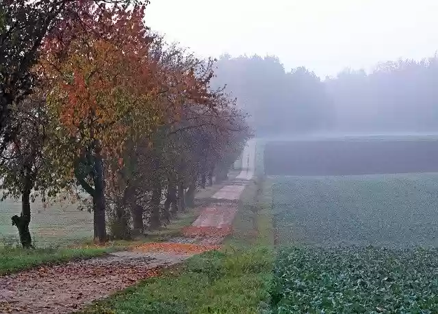 Free download Autumn Landscape Fog Away -  free free photo or picture to be edited with GIMP online image editor