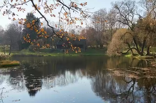 Free download Autumn Leaves River -  free free photo or picture to be edited with GIMP online image editor