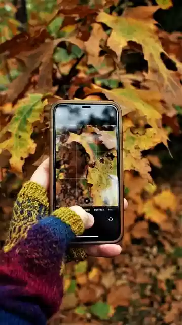 Free download autumn mobile photography free picture to be edited with GIMP free online image editor