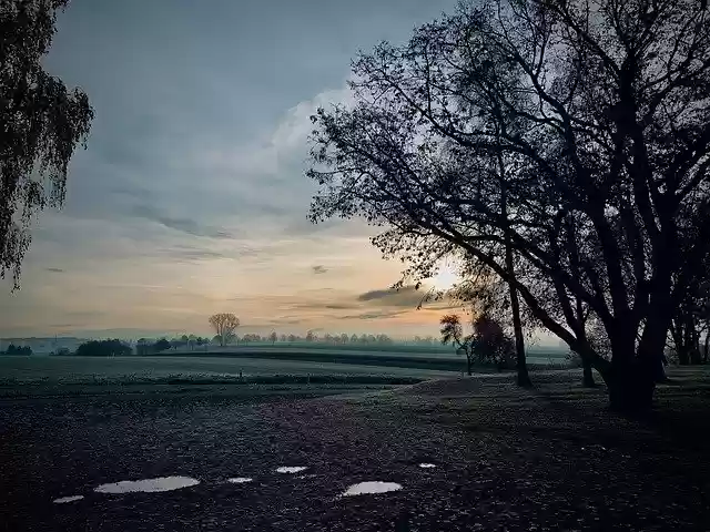 Free download Autumn Morgenstimmung Cool -  free free photo or picture to be edited with GIMP online image editor