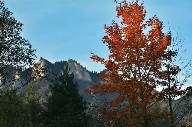 הורדה חינם של Autumn Mountains Landscape תבנית תמונה בחינם לעריכה עם עורך התמונות המקוון GIMP