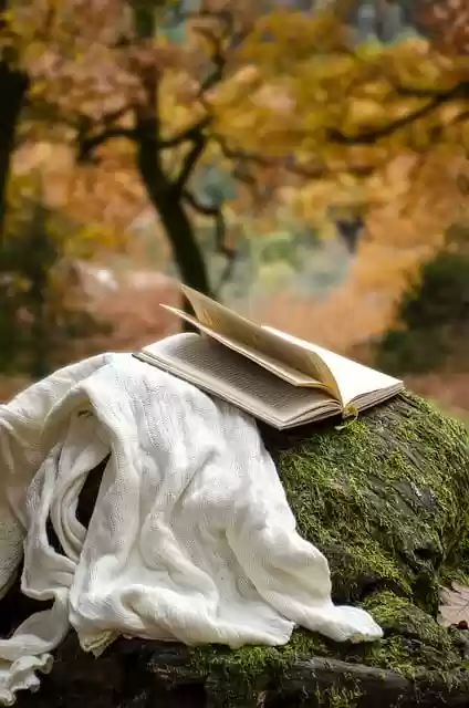 Free download autumn nature book reading park free picture to be edited with GIMP free online image editor