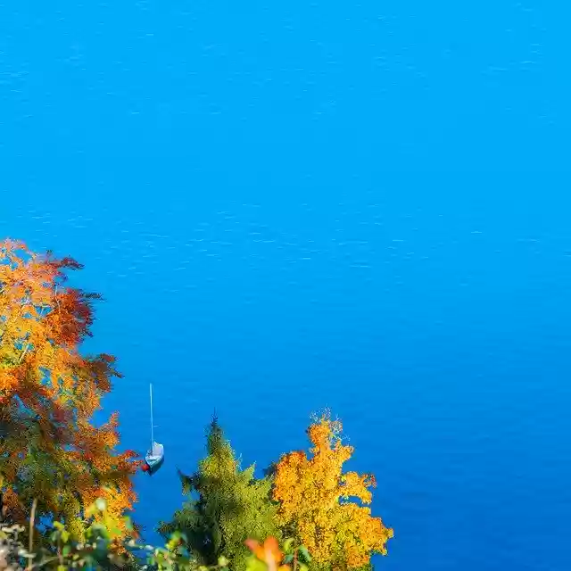Free download Autumn Nature Colours -  free photo or picture to be edited with GIMP online image editor