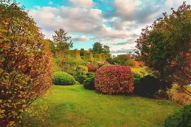 Free download Autumn Nature Landscape Beautiful -  free free photo or picture to be edited with GIMP online image editor