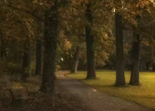 Free download Autumn October Park -  free photo or picture to be edited with GIMP online image editor