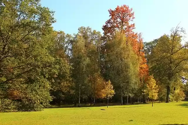 Free download Autumn Park Colors -  free photo or picture to be edited with GIMP online image editor