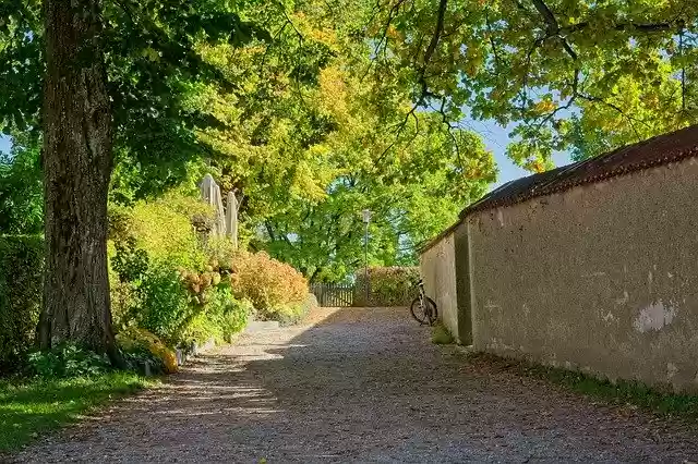 Free download Autumn Promenade Away Fall -  free photo or picture to be edited with GIMP online image editor