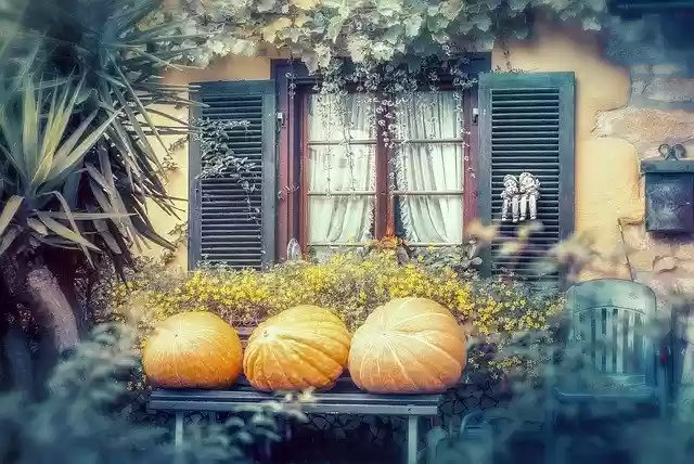 Free download Autumn Pumpkin Halloween -  free photo or picture to be edited with GIMP online image editor