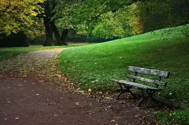 Free download Autumn Rest Park -  free photo or picture to be edited with GIMP online image editor