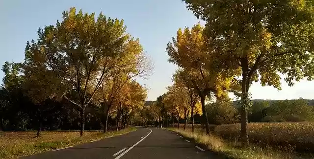 Free download Autumn Road -  free photo or picture to be edited with GIMP online image editor