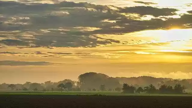 Free download Autumn Sunrise Fog -  free photo or picture to be edited with GIMP online image editor