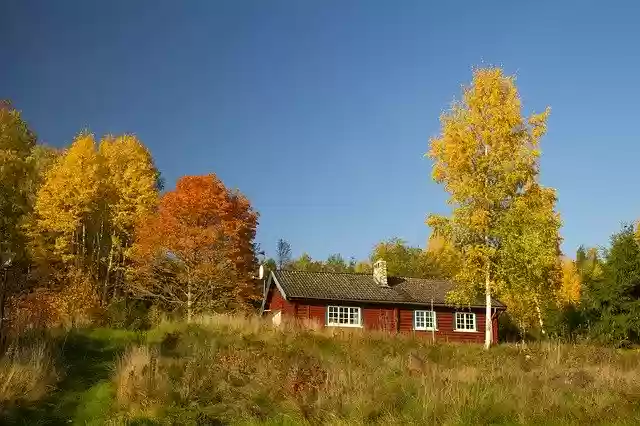 免费下载秋季瑞典自然 - 使用 GIMP 在线图像编辑器编辑的免费照片或图片