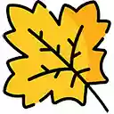 Autumn Tab  screen for extension Chrome web store in OffiDocs Chromium