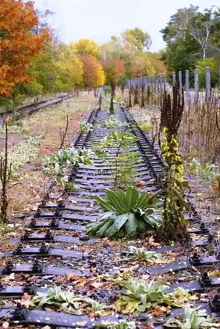 Free download Autumn Ties Railway -  free photo or picture to be edited with GIMP online image editor