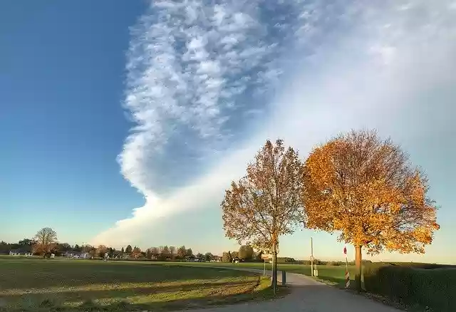 Free download Autumn Tree Nature -  free photo or picture to be edited with GIMP online image editor