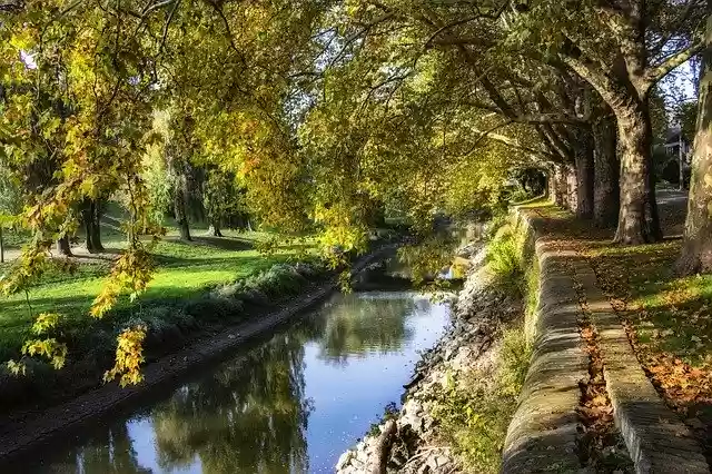 Free download Autumn Trees Nature -  free free photo or picture to be edited with GIMP online image editor