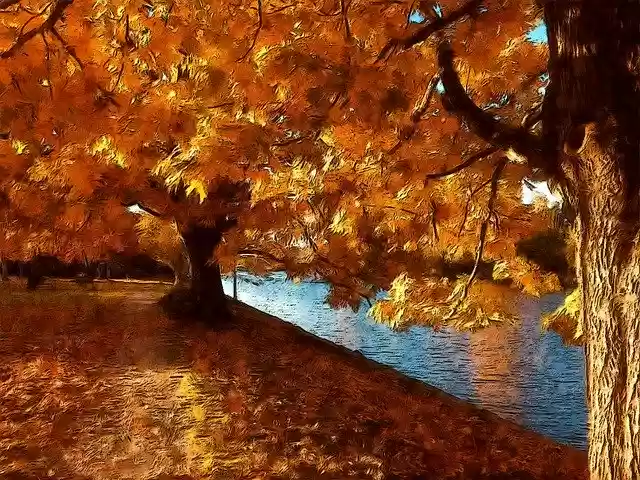 Free download Autumn Walk Water Park -  free illustration to be edited with GIMP free online image editor