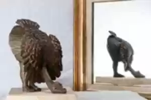 Free download Avestruz 3/7 free photo or picture to be edited with GIMP online image editor