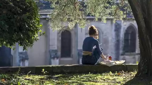Free download avignon reading light garden free picture to be edited with GIMP free online image editor