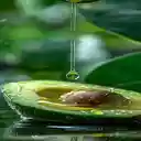 Avocado cut in half wallpaper  screen for extension Chrome web store in OffiDocs Chromium