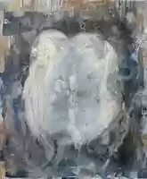 Free download Awake 2020 free photo or picture to be edited with GIMP online image editor