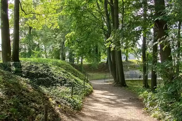 Free download Away Hope Route Forest -  free photo or picture to be edited with GIMP online image editor