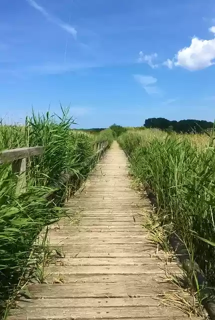 Free download Away Nature Landscape -  free photo or picture to be edited with GIMP online image editor