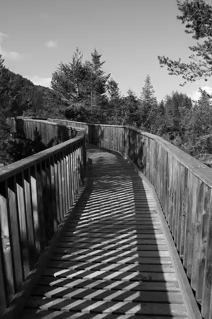 Free download Away Web Nature -  free photo or picture to be edited with GIMP online image editor