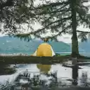 A Yellow Tent beside a Tree  screen for extension Chrome web store in OffiDocs Chromium