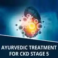Free download Ayurvedic Treatment For CKD Stage 5 free photo or picture to be edited with GIMP online image editor
