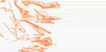 Free download b0aty free photo or picture to be edited with GIMP online image editor