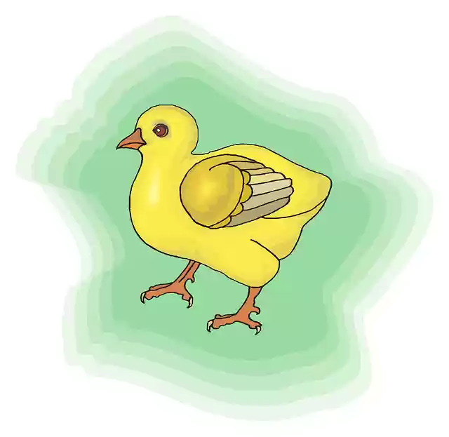 Free download Baby Bird Yellow - Free vector graphic on Pixabay free illustration to be edited with GIMP free online image editor