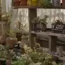 Baby bonsai corner  screen for extension Chrome web store in OffiDocs Chromium