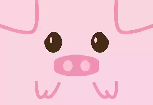 Free download Baby Pig Animal - Free vector graphic on Pixabay free illustration to be edited with GIMP free online image editor