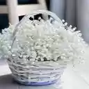 Babys Breath flower basket wallpaper  screen for extension Chrome web store in OffiDocs Chromium