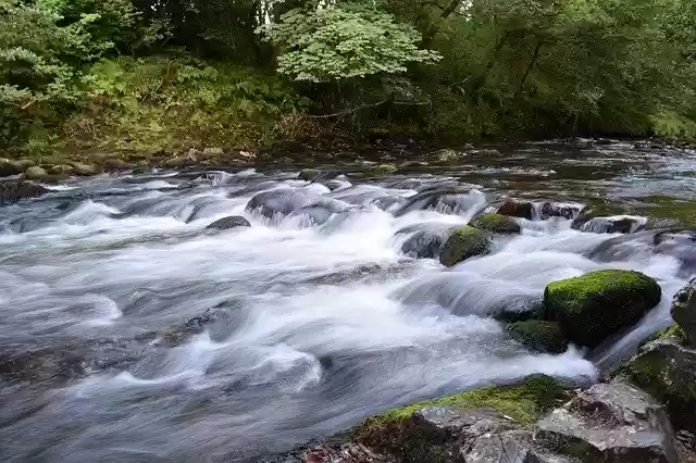 Bezpłatne pobieranie bezpłatnego szablonu zdjęć Bach Water Nature do edycji za pomocą internetowego edytora obrazów GIMP